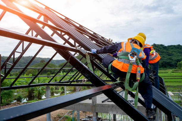 Best Roof Gutter Cleaning  in Pce, LA