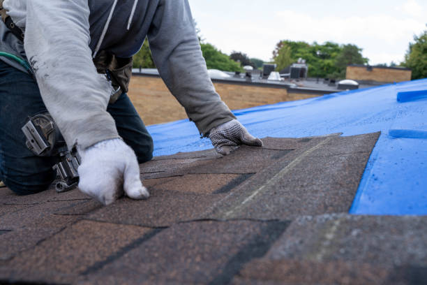 Best Roof Restoration Services  in Pce, LA
